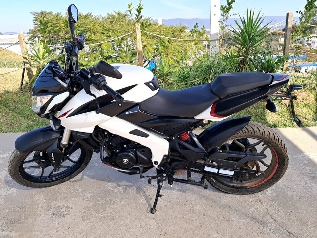 BAJAJ DOMINAR D160 ANO 2023/2023